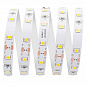 Светодиодная лента Apeyron 15W/m 60LED/m 5050SMD дневной белый 5M 00-339