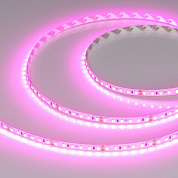 Светодиодная лента Arlight 6W/m 120Led/m 2835SMD пурпурно-розовый 5M RT-A120-8mm 24V Magenta 043381