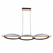 Подвесной светодиодный светильник Arte Lamp Fluido A3913SP-24BK