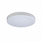 Потолочный светодиодный светильник Loft IT Axel 10002/24 white