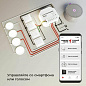 Реле Wi-Fi Elektrostandard 76005/00 4690389184406