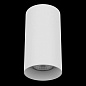Потолочный светильник Lightstar Rullo 216486