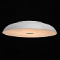 Потолочный светодиодный светильник MW-Light Канапе 708010409
