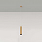 Подвесной светильник Maytoni Technical Focus P075PL-01MG