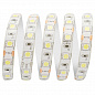 Светодиодная влагозащищенная лента Apeyron 14,4W/m 60LED/m 5050SMD холодный белый 5M 10BL