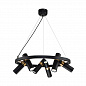 Подвесная люстра Favourite Light Point 2997-6P