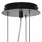 Подвесная люстра Lightstar Siena 720807