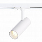 Трековый светодиодный светильник ST Luce Mono ST350.546.10.36