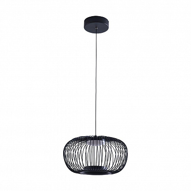 Подвесной светодиодный светильник Arte Lamp Flare A3527SP-12BK