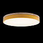 Потолочный светодиодный светильник Loft IT Axel 10001/36 yellow