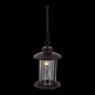 Уличный подвесной светильник ST Luce Lastero SL080.403.01