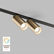 Трековый светодиодный светильник Denkirs Smart Spot DK8012-BG