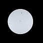 Потолочный светодиодный светильник Loft IT Axel 10002/48 white