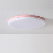 Потолочный светильник Imperium Loft DISC-C01 193126-26