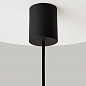 Подвесной светильник Maytoni Sound Wave MOD255PL-01B2