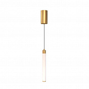 Подвесной светильник Maytoni Ray P022PL-L10MG3K
