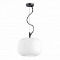 Подвесной светильник Odeon Light Pendant Roofi 4754/1