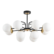 Люстра Lumion ELRONA 8375/12C