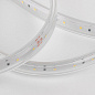 Светодиодная влагозащищенная лента Elektrostandard 8W/m 60LED/m 2835SMD холодный белый 50M a053638