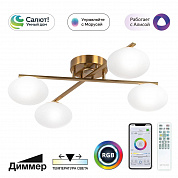 Потолочная светодиодная люстра Citilux Atman Smart CL226A143