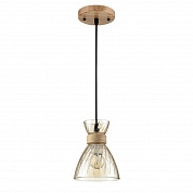 Светильник подвесной Lumion Suspentioni 8051/1A